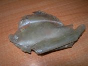 DSCN9574.JPG