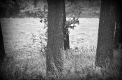 DSC_4572.JPG