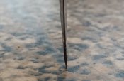 IMG_20181030_105051568.jpg