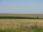 IMG_0710.JPG