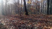 IMG_20181030_150108.jpg