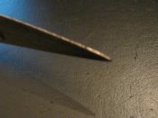 IMG_2354.jpg