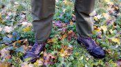 IMG_20181030_105321.jpg