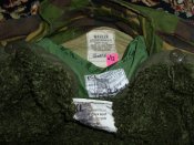 DSCI4856.JPG