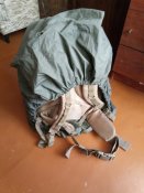 P81021-154141.jpg