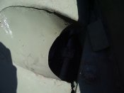 IMGP2507.jpg