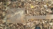 20181101_134347.jpg