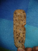 2018-09-23 03.25.04.jpg