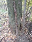 IMG_20181104_134626.jpg
