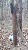 IMG_20181103_102323.jpg