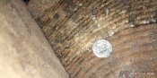 IMG_20181105_165434.jpg
