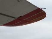 IMG_4568.jpg