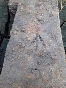 20181030_145906.jpg