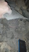 20181107_161053.jpg