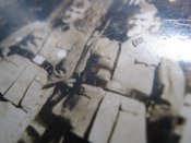IMG_4246.JPG