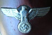 DSC04604.jpg