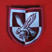 Нашивка армии Британии, 16th Air Assault Brigade
