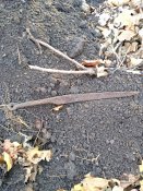 IMG_20181108_135248.jpg