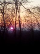 IMG_20181109_161133.jpg