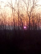 IMG_20181109_161146.jpg