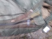 20181109_160148_HDR.jpg