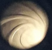 20181110_00070.jpg