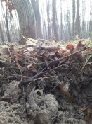 20181110_131824.jpg