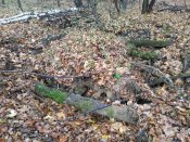 IMG_20181110_133115-1024x768.jpg