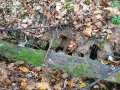 IMG_20181110_133121-1024x768.jpg