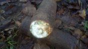 20181110_100800.jpg