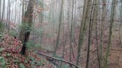 IMG_20181111_121306.jpg