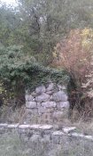 20181107_154248.jpg