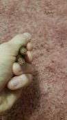 20181112_194110.jpg