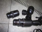SL556057.JPG