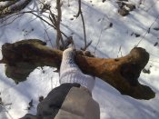01032009880_изменить размер.jpg