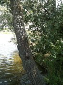 IMG_1048.jpg