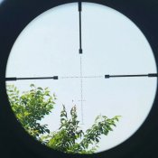 578736.jpg