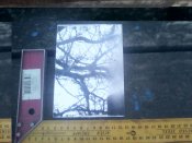 IMG_20181114_161355_2CS.jpg