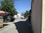 IMG_4663.JPG