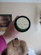 IMG_20181115_135239.jpg