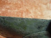 DSC05697.jpg