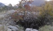 20181115_160547.jpg
