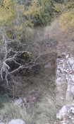 20181115_160605.jpg