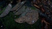 IMG_20181116_083547.jpg