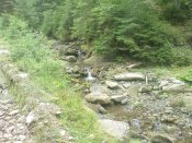 DSC00278.jpg