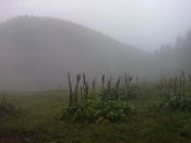 DSC00297.jpg