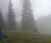 DSC00298.jpg