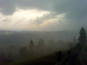 DSC00303.jpg