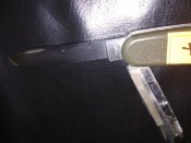 IMG_20181115_194151.jpg