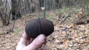 20181027_151105.jpg